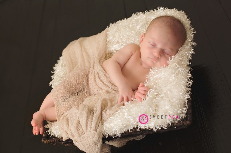 Northern Virginia Newborn Photographer