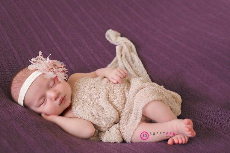 Northern Virginia Newborn Photographer