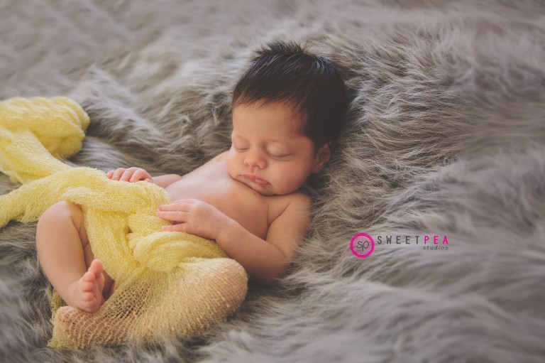 Sweet Pea Studios | Northern Virginia Newborn Photographer