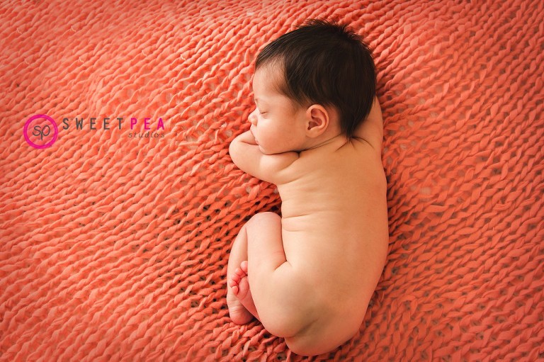 Sweet Pea Studios | Northern Virginia Newborn Photographer