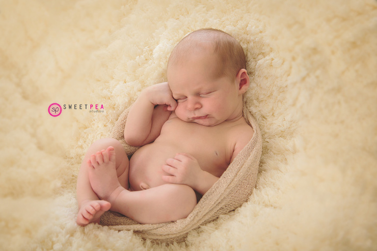 Sweet Pea Studios | Northern Virginia Family Photographer