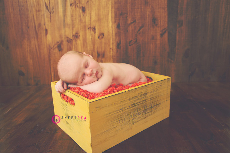 Sweet Pea Studios | Northern Virginia Family Photographer