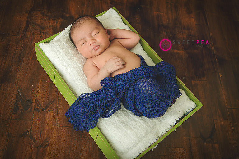 Sweet Pea Studios | Northern Virginia Family Photographer