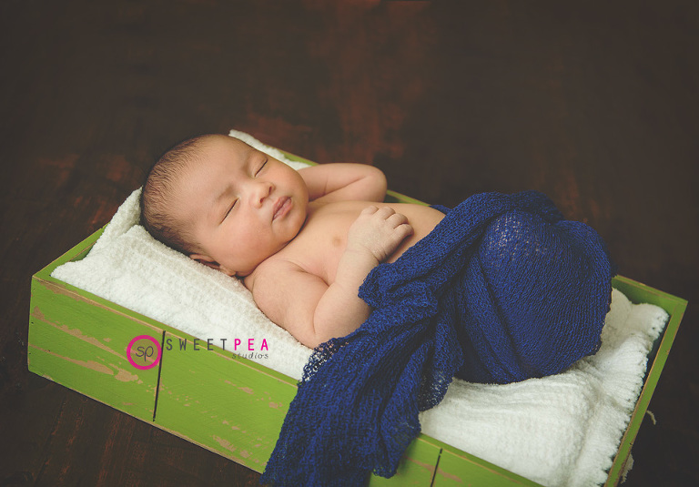 Sweet Pea Studios | Northern Virginia Family Photographer