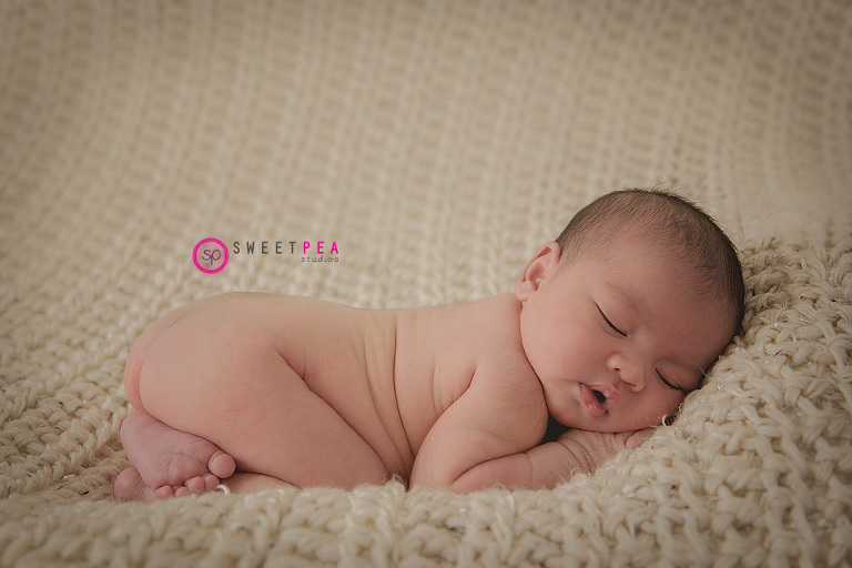 Sweet Pea Studios | Northern Virginia Family Photographer