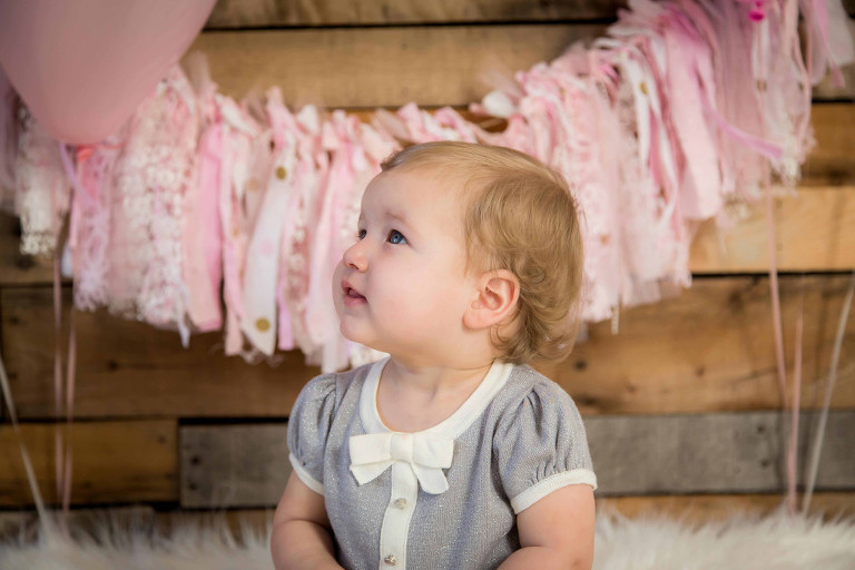 Aldie Virginia Family Photographer