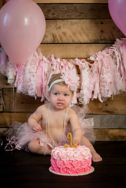 Aldie Virginia Family Photographer