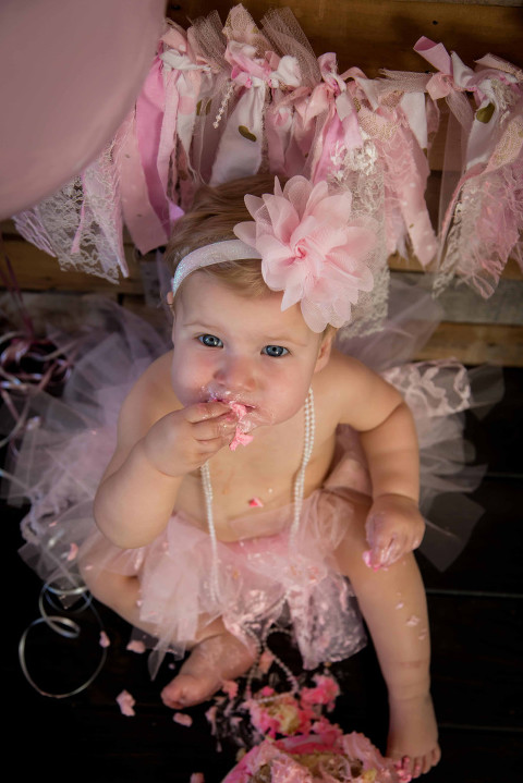 Aldie Virginia Family Photographer