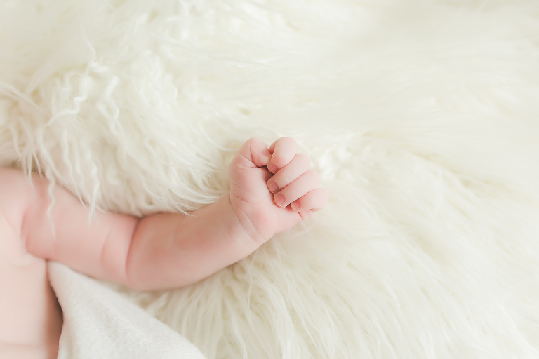 Loudoun County Newborn Photographer | Sweet Pea Studios