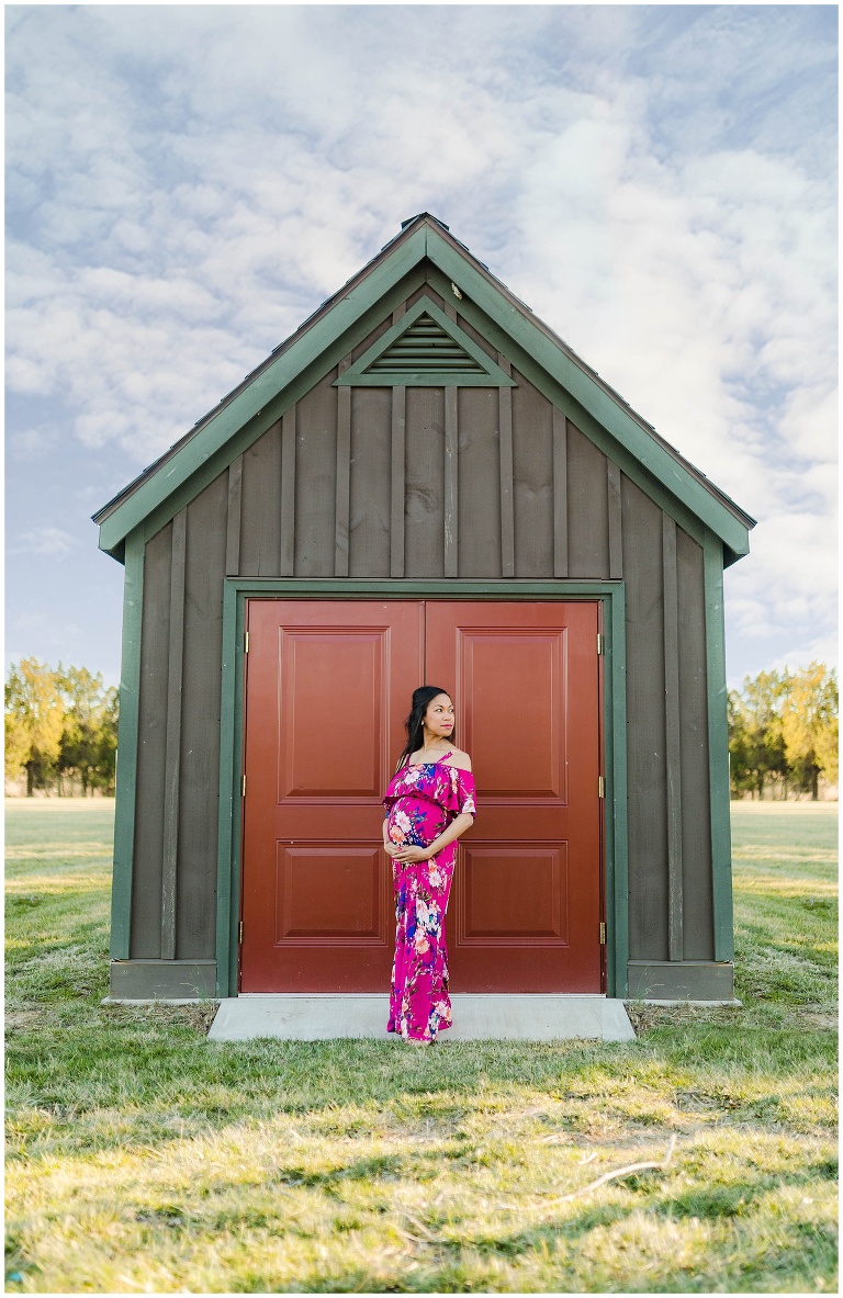 Loudoun County Maternity Photographer | Sweet Pea Studios |Northern Virginia Newborn Photographer