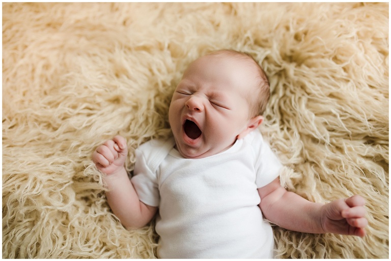 NOVA Newborn Photographer