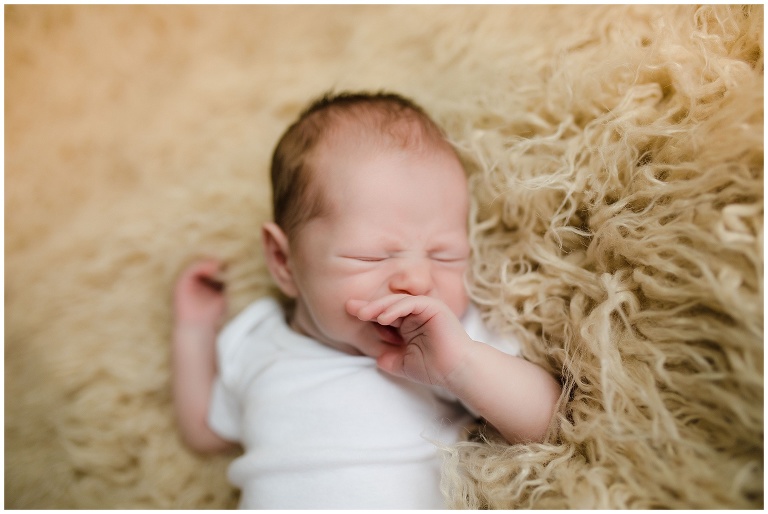 NOVA Newborn Photographer