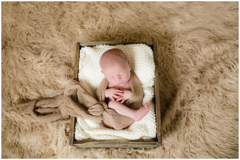 Chantilly VA Newborn Photographer | Sweet Pea Studios