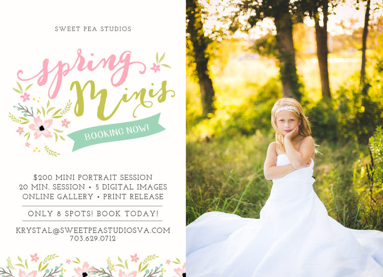 NOVA Newborn and Child Photographer | Sweet Pea Studios