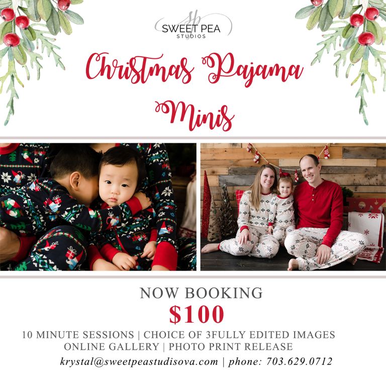 Family Photographer NOVA | Sweet Pea Studios