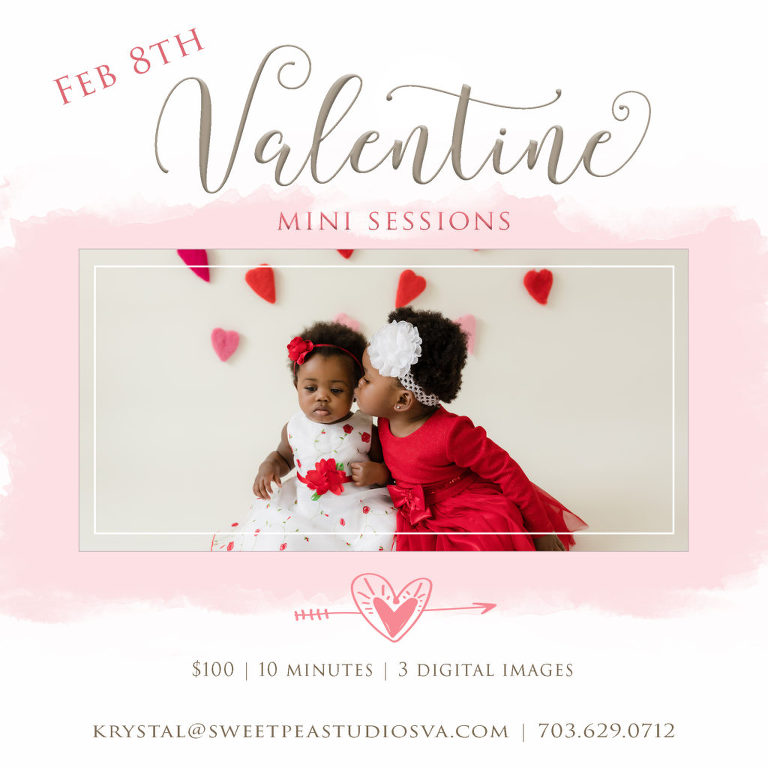 Aldie VA Child Photographer | Sweet Pea Studios