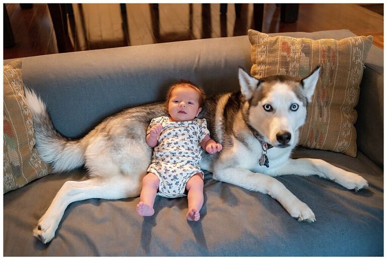 Sweet Pea Studios | South Riding VA Photographer